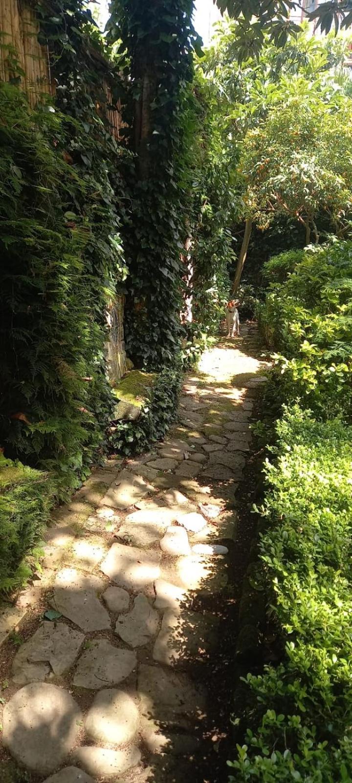 L'Antica Dimora Vila Meta Exterior foto